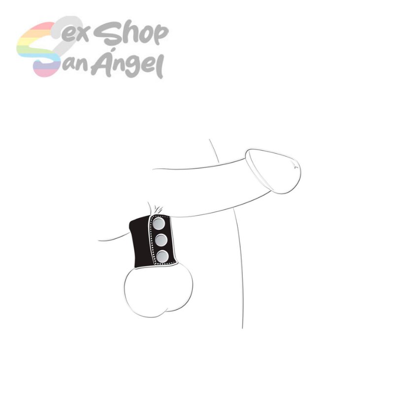 ANILLO SEPARADOR DE TESTÍCULOS.